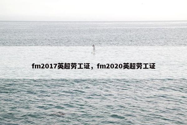 fm2017英超劳工证，fm2020英超劳工证