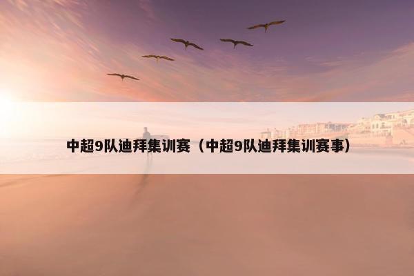 中超9队迪拜集训赛（中超9队迪拜集训赛事）