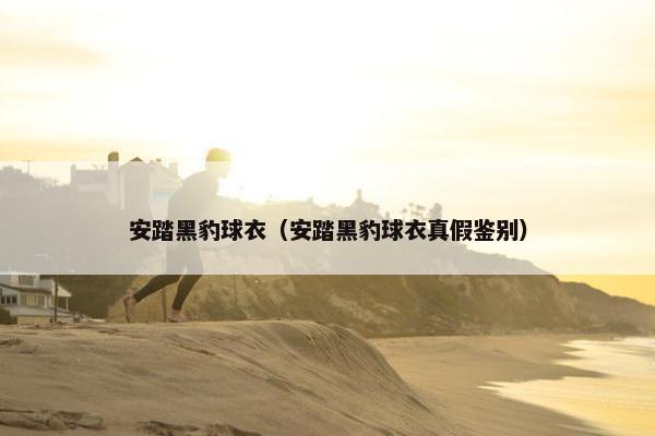 安踏黑豹球衣（安踏黑豹球衣真假鉴别）
