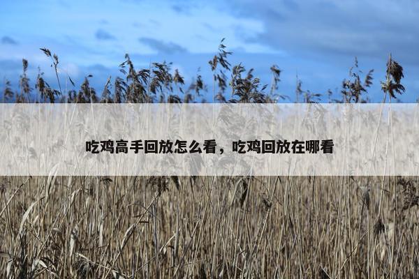 吃鸡高手回放怎么看，吃鸡回放在哪看