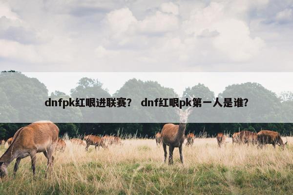 dnfpk红眼进联赛？ dnf红眼pk第一人是谁？