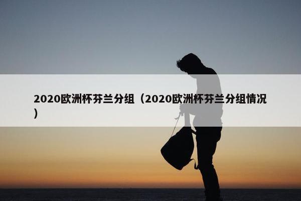 2020欧洲杯芬兰分组（2020欧洲杯芬兰分组情况）