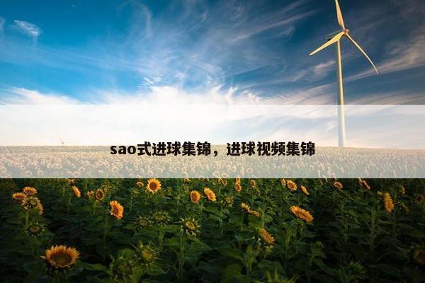 sao式进球集锦，进球视频集锦