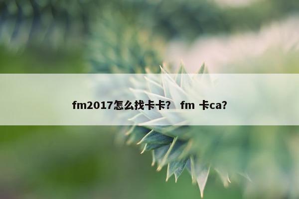 fm2017怎么找卡卡？ fm 卡ca？