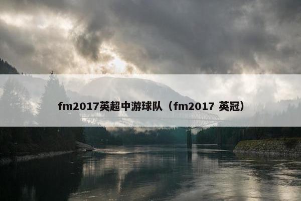 fm2017英超中游球队（fm2017 英冠）