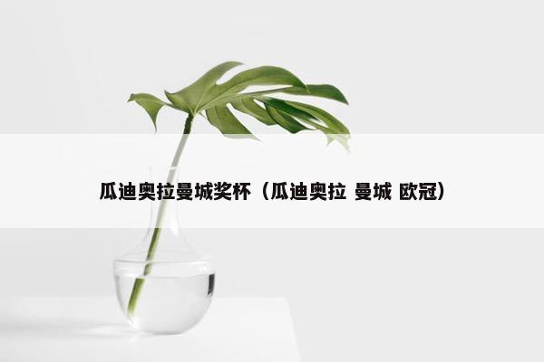 瓜迪奥拉曼城奖杯（瓜迪奥拉 曼城 欧冠）