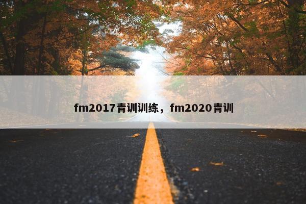 fm2017青训训练，fm2020青训