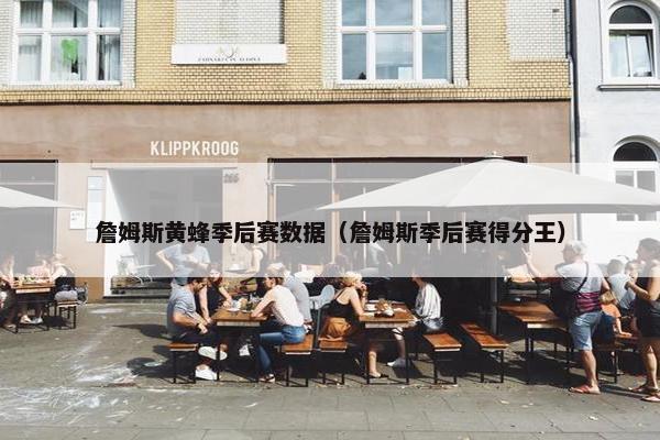 詹姆斯黄蜂季后赛数据（詹姆斯季后赛得分王）