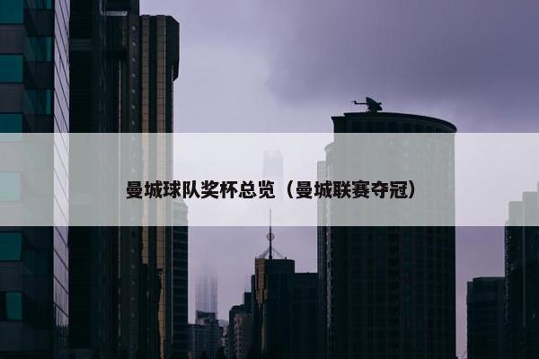 曼城球队奖杯总览（曼城联赛夺冠）