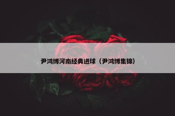 尹鸿博河南经典进球（尹鸿博集锦）