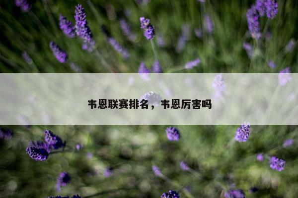 韦恩联赛排名，韦恩厉害吗