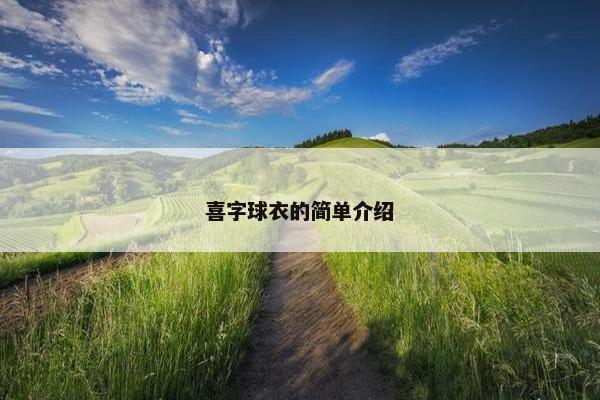 喜字球衣的简单介绍
