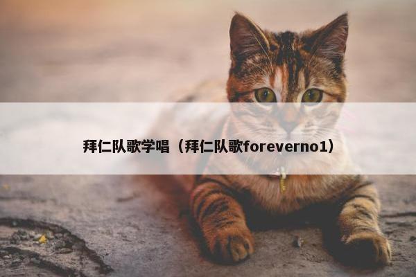 拜仁队歌学唱（拜仁队歌foreverno1）