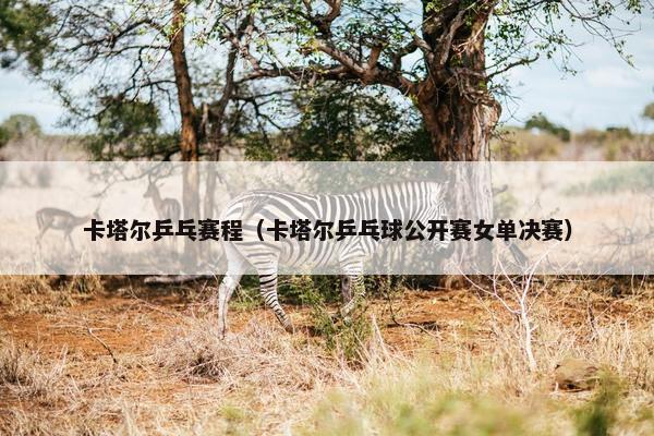 卡塔尔乒乓赛程（卡塔尔乒乓球公开赛女单决赛）