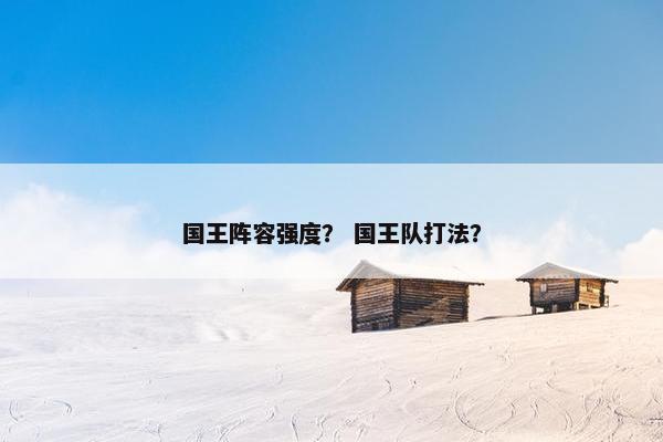国王阵容强度？ 国王队打法？
