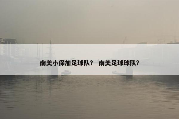 南美小保加足球队？ 南美足球球队？