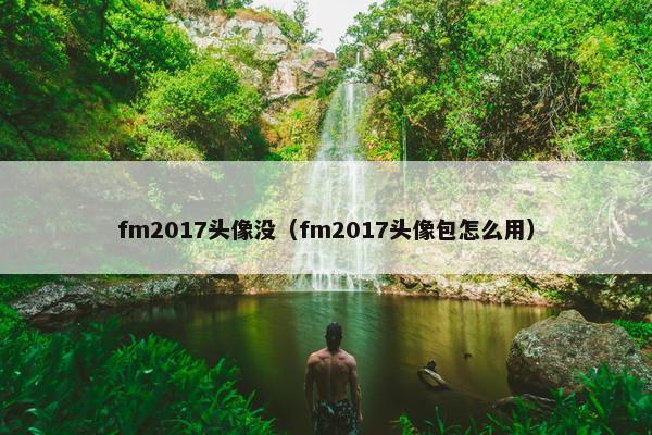 fm2017头像没（fm2017头像包怎么用）