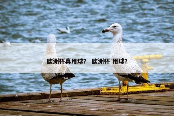 欧洲杯真用球？ 欧洲杯 用球？