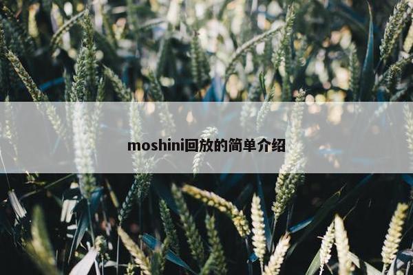 moshini回放的简单介绍