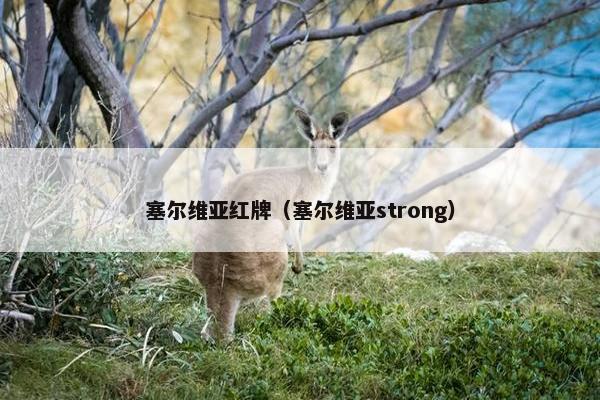 塞尔维亚红牌（塞尔维亚strong）