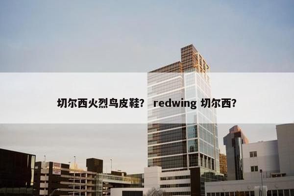 切尔西火烈鸟皮鞋？ redwing 切尔西？