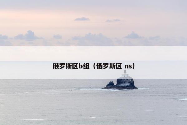 俄罗斯区b组（俄罗斯区 ns）