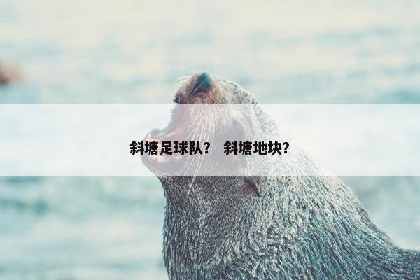 斜塘足球队？ 斜塘地块？