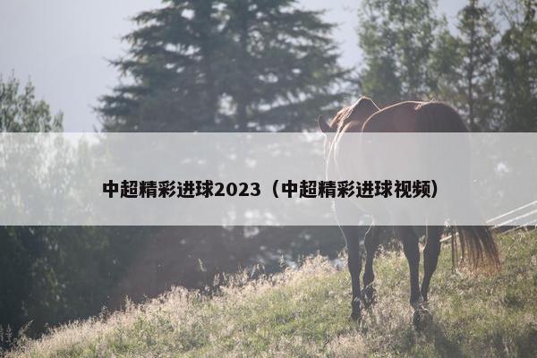 中超精彩进球2023（中超精彩进球视频）