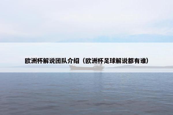 欧洲杯解说团队介绍（欧洲杯足球解说都有谁）