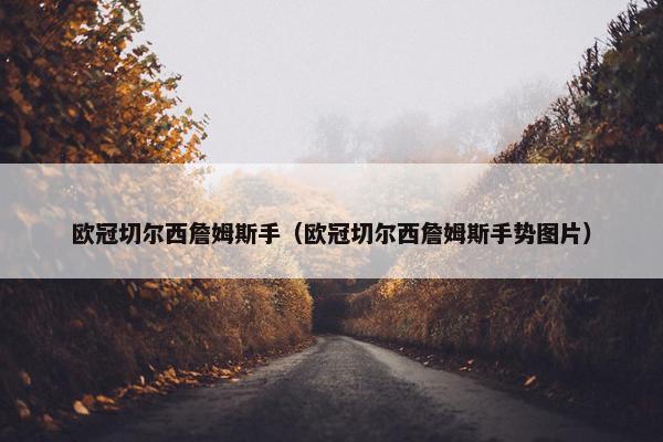 欧冠切尔西詹姆斯手（欧冠切尔西詹姆斯手势图片）