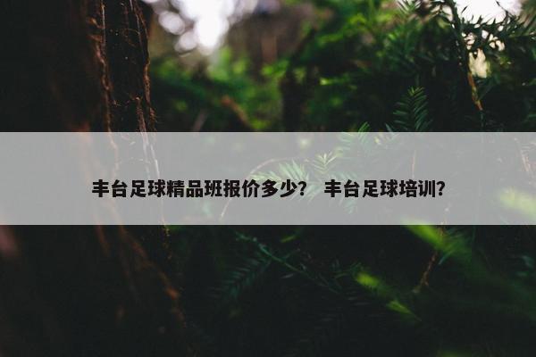 丰台足球精品班报价多少？ 丰台足球培训？