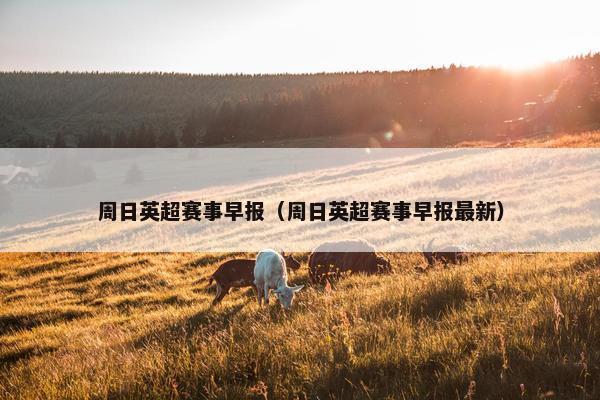 周日英超赛事早报（周日英超赛事早报最新）