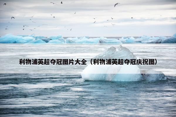 利物浦英超夺冠图片大全（利物浦英超夺冠庆祝图）