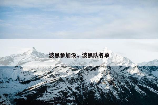 波黑参加没，波黑队名单