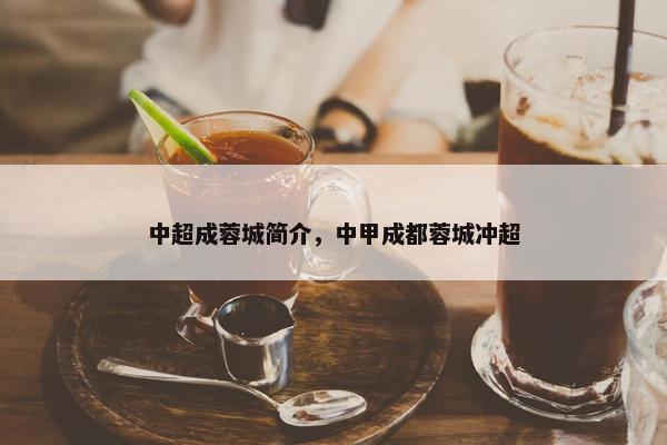 中超成蓉城简介，中甲成都蓉城冲超
