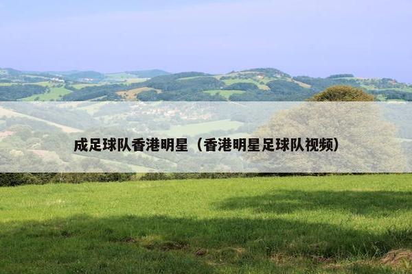 成足球队香港明星（香港明星足球队视频）