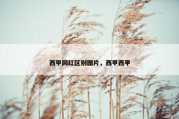 西甲网红区别图片，西甲西甲