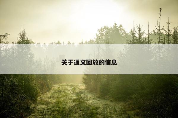 关于通义回放的信息