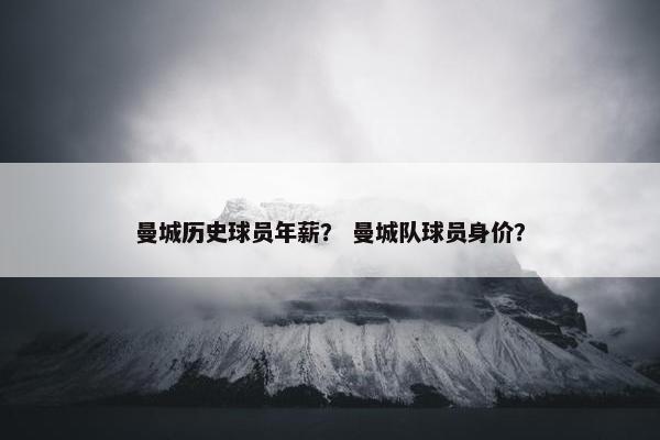 曼城历史球员年薪？ 曼城队球员身价？