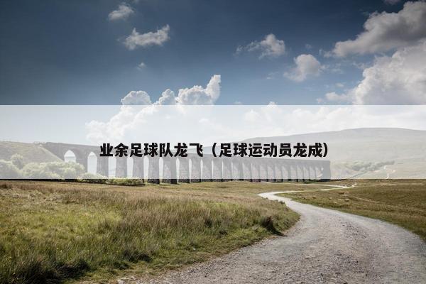 业余足球队龙飞（足球运动员龙成）