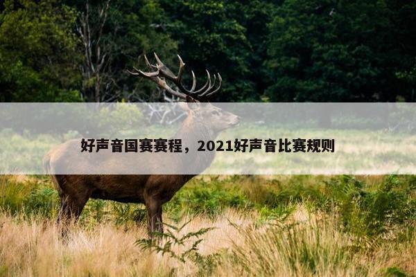 好声音国赛赛程，2021好声音比赛规则