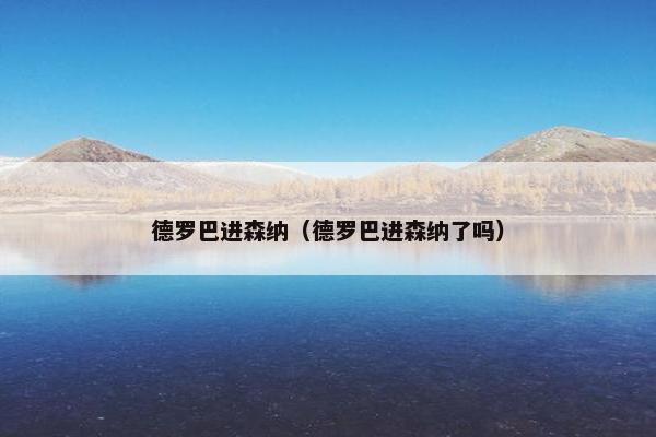 德罗巴进森纳（德罗巴进森纳了吗）