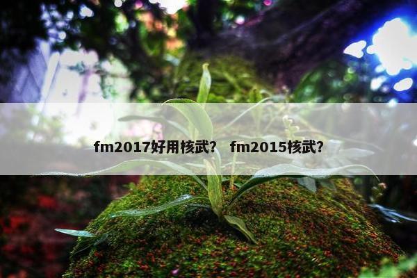 fm2017好用核武？ fm2015核武？