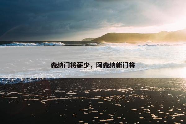 森纳门将薪少，阿森纳新门将