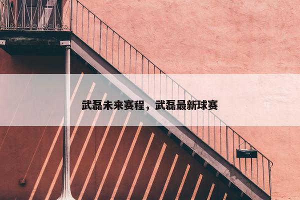 武磊未来赛程，武磊最新球赛