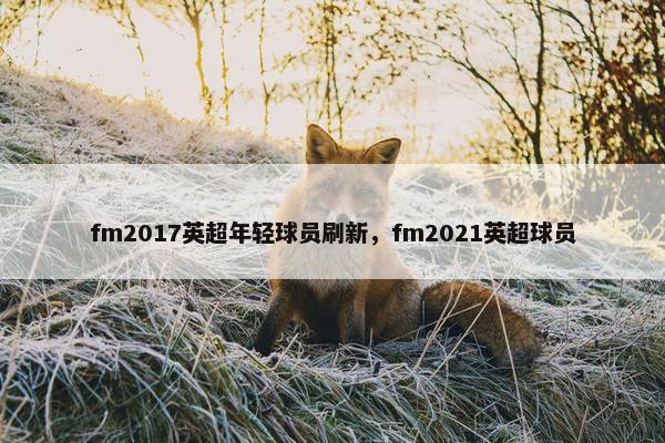 fm2017英超年轻球员刷新,fm2021英超球员 fm2017英超年轻球员刷新,fm2021英超球员