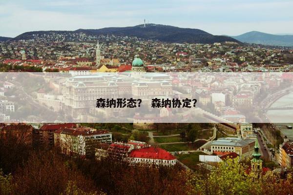 森纳形态？ 森纳协定？