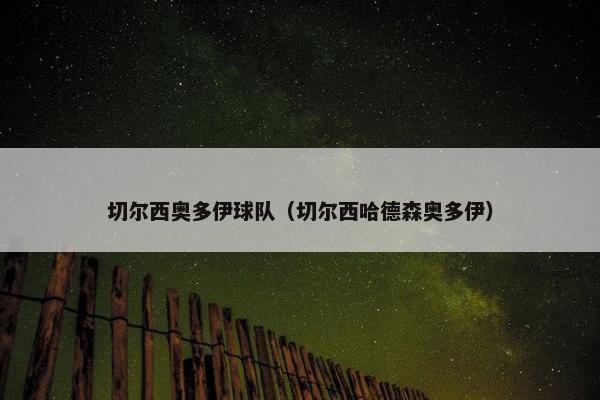 切尔西奥多伊球队（切尔西哈德森奥多伊）