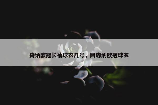 森纳欧冠长袖球衣几号，阿森纳欧冠球衣