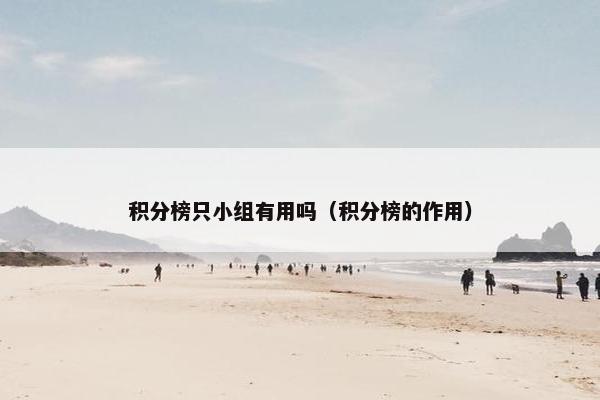 积分榜只小组有用吗（积分榜的作用）